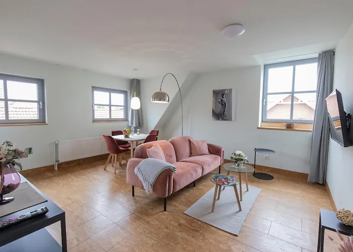 酒店 Altstadthotel Eibsen 3*